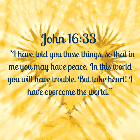 John 16:33 "I have told you these things, so that in me you may have peace. In this world you will have trouble. But take heart! I have overcome the world.”